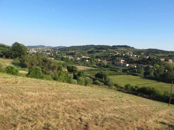 Mezza di Signa Città della Paglia