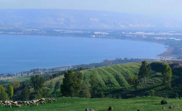 Sea of Galilee Winner Marathon 2025