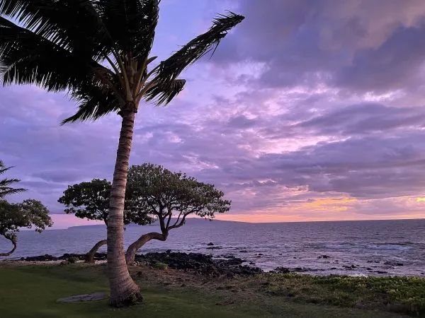 Maui Oceanfront Marathon 2025