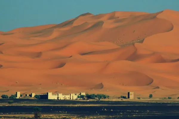 WildMarathon Dune Desert Marathon 2025