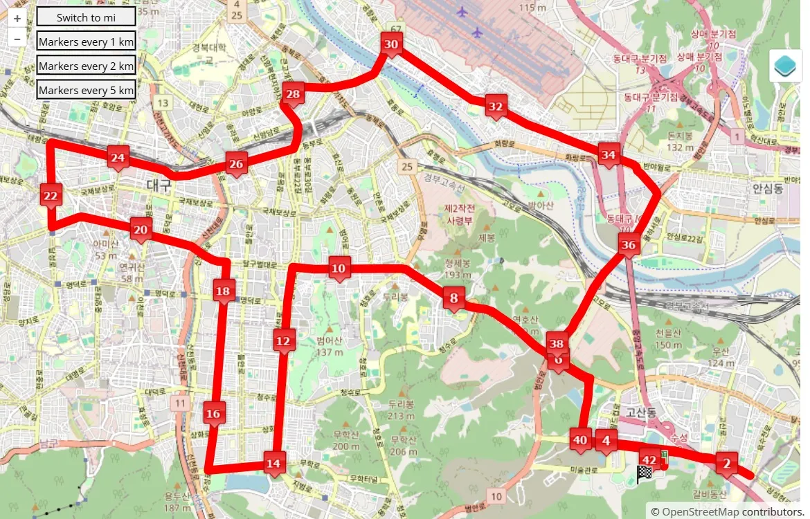 race course map Daegu Marathon 2025